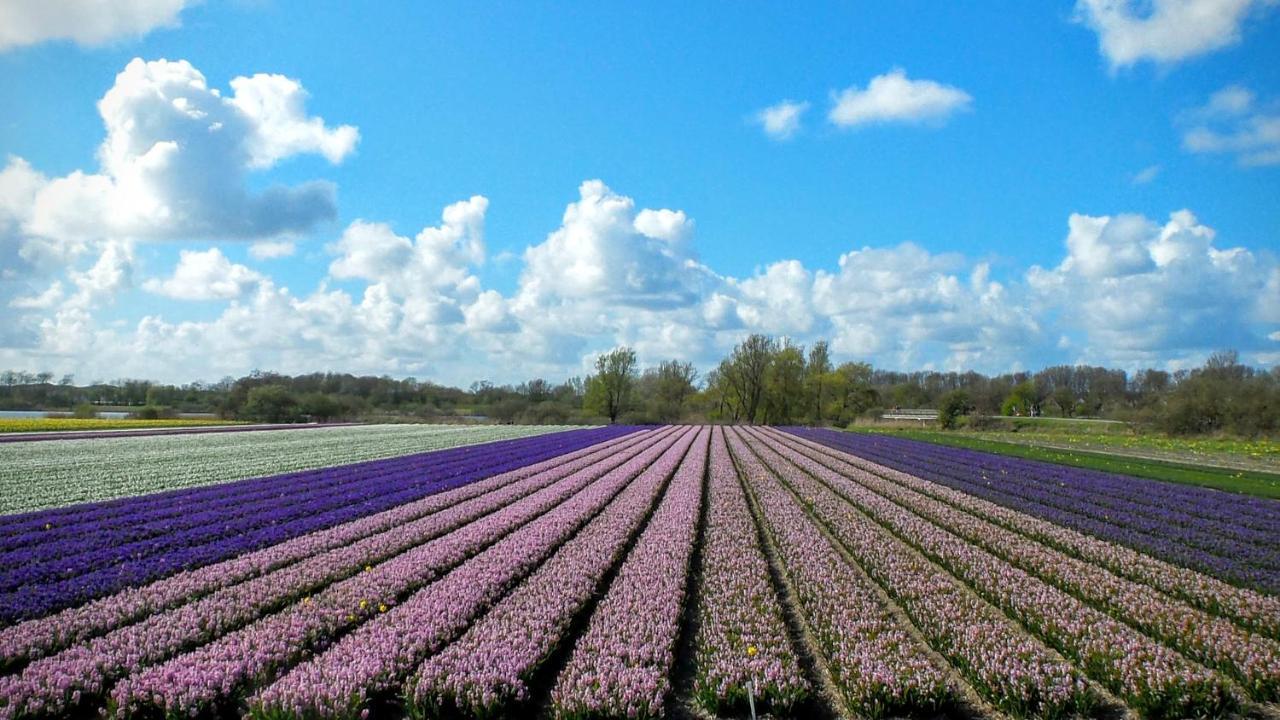 Het Ruime Sop Frühstückspension